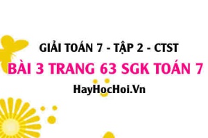 Giải bài 3 trang 63 Toán 7 tập 2 SGK Chân trời sáng tạo